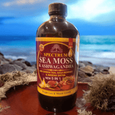 SEA MOSS & ASHWAGANDHA WITH GREEN TEA, GOJI BERRIES & AVEENA SATIVA 5 IN 1
